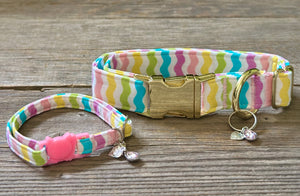 Spring Fever -Dog Collar