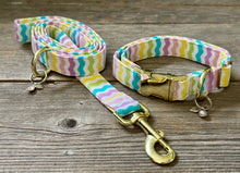 Load image into Gallery viewer, Spring Fever -Dog Collar
