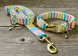 Spring Fever -Dog Collar