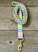 Load image into Gallery viewer, Spring Fever -Dog Leash
