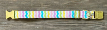 Load image into Gallery viewer, Spring Fever -Dog Collar
