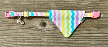 Load image into Gallery viewer, Double-Sided Cat Bandanna - Spring Fever &amp; Hop to It
