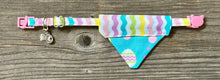 Load image into Gallery viewer, Double-Sided Cat Bandanna - Spring Fever &amp; Hop to It
