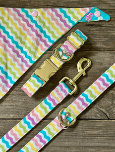 Spring Fever -Dog Collar