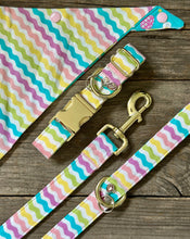 Load image into Gallery viewer, Spring Fever -Dog Leash
