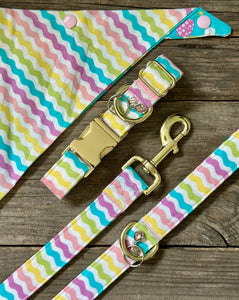 Spring Fever -Dog Leash