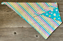 Load image into Gallery viewer, Double-Sided Dog Bandanna - Hop to It &amp; Spring Fever
