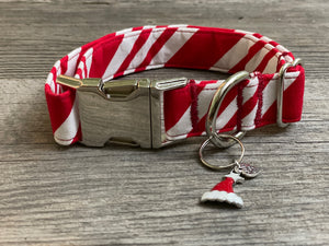 Candy Cane -Dog Collar