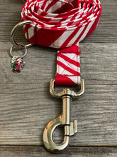 Load image into Gallery viewer, Candy Cane -Dog Leash
