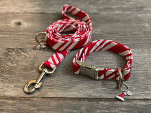 Load image into Gallery viewer, Candy Cane -Dog Leash
