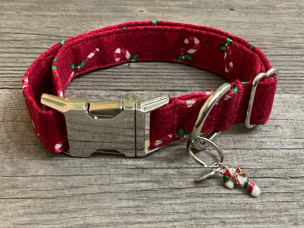 Visiting Santa -Dog Collar