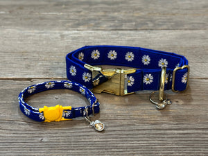 Lauren -Dog Collar