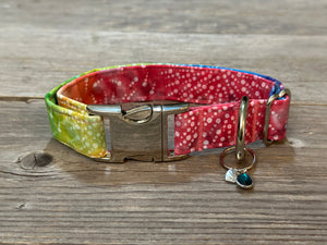 Kaleidoscopic -Dog Collar