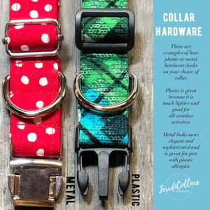 Buzz Worthy -Dog Collar