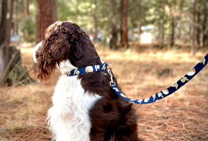 Baby Yoda -Dog Collar