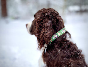 The Mandalorian and Baby Yoda -Dog Collar