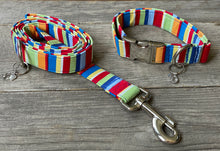 Load image into Gallery viewer, Santa Cruz -Dog Collar
