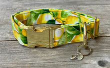 Load image into Gallery viewer, Care for Some Lemonade? -Dog Collar
