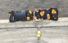 Load image into Gallery viewer, Trick or Treat- Dog Collar
