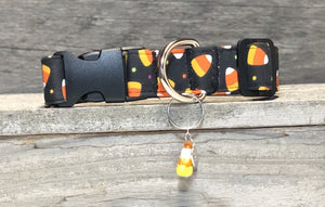 Trick or Treat- Dog Collar