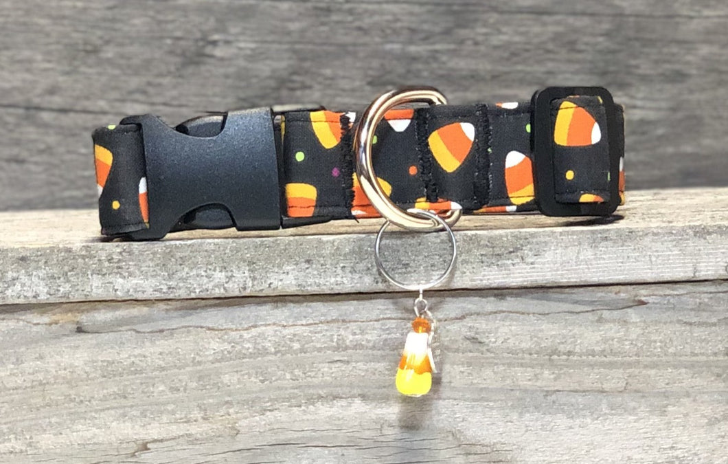 Trick or Treat- Dog Collar