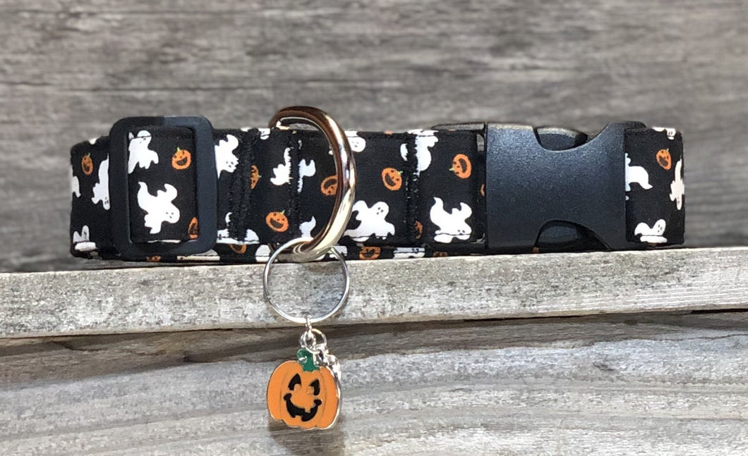 Casper - Dog Collar