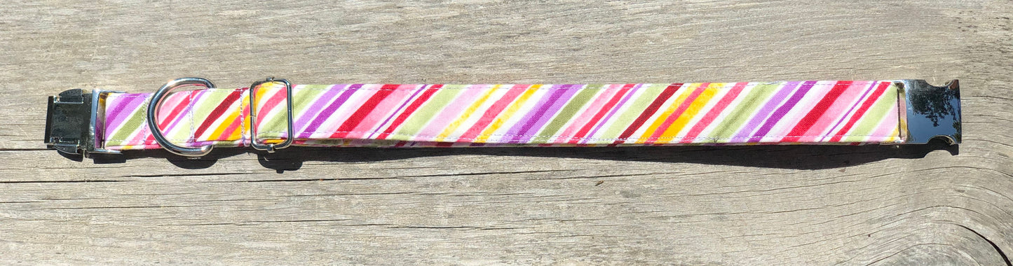 Fruit Stripes- Dog Collar