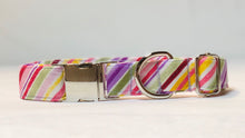 Load image into Gallery viewer, Fruit Stripes- Dog Collar
