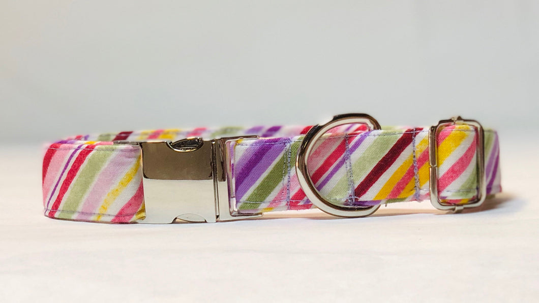 Fruit Stripes- Dog Collar