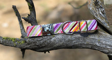 Load image into Gallery viewer, Fruit Stripes- Dog Collar
