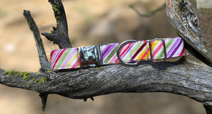 Fruit Stripes- Dog Collar