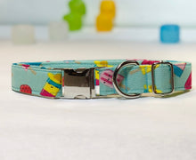 Load image into Gallery viewer, Summer Treat- Dog Collar
