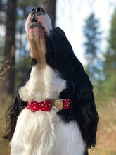 Load image into Gallery viewer, The Minnie Polka- Dog Collar
