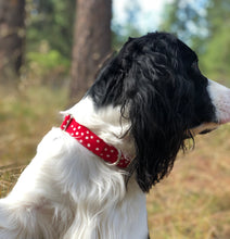 Load image into Gallery viewer, The Minnie Polka- Dog Collar
