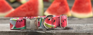 Watermelon Sugar- Dog Collar