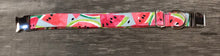 Load image into Gallery viewer, Watermelon Sugar- Dog Collar
