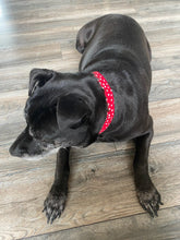 Load image into Gallery viewer, The Minnie Polka- Dog Collar
