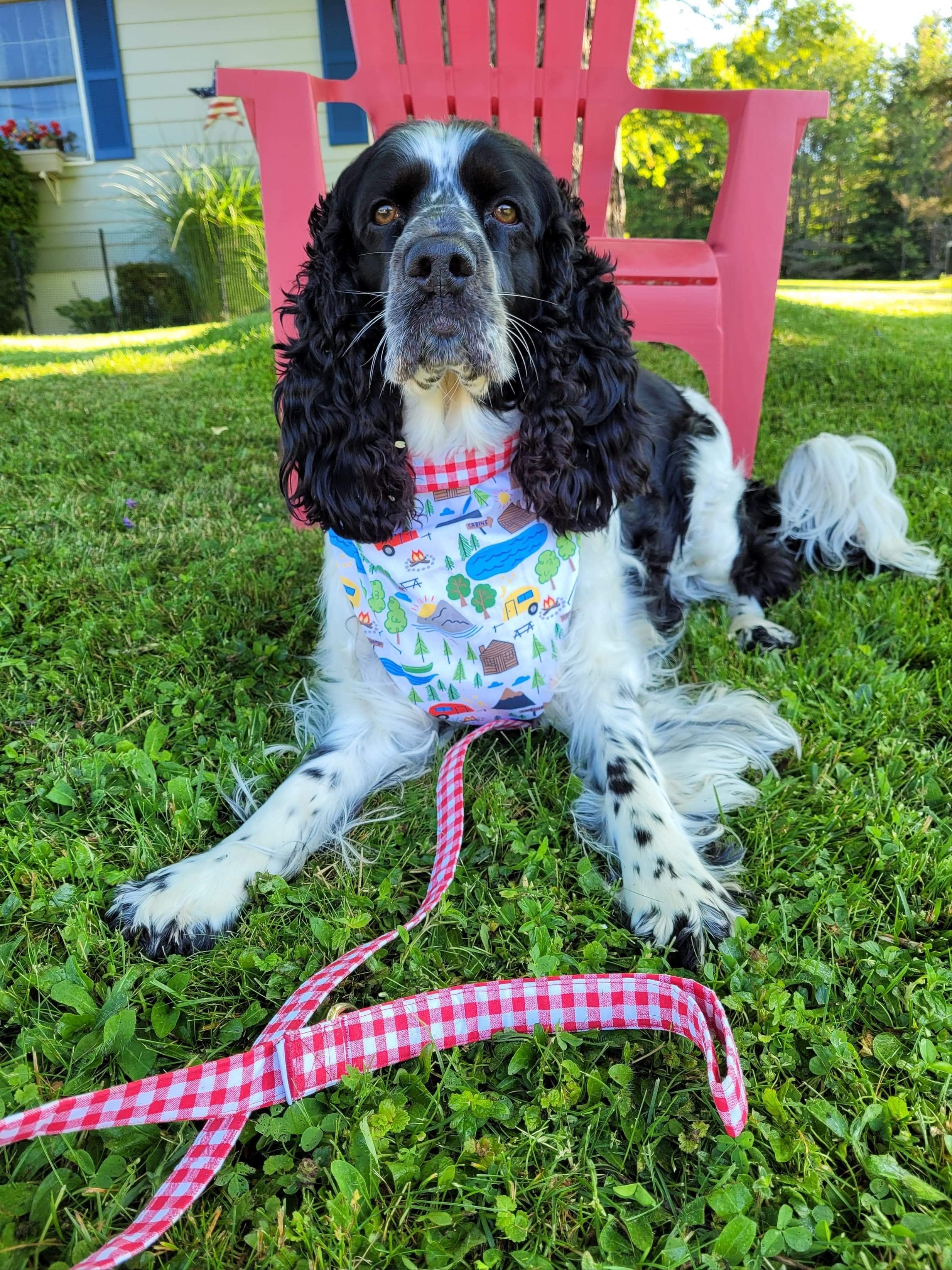 Double sided dog store bandana