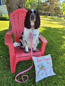 Picnic For Two -Dog Leash