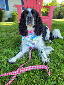 Picnic For Two -Dog Collar